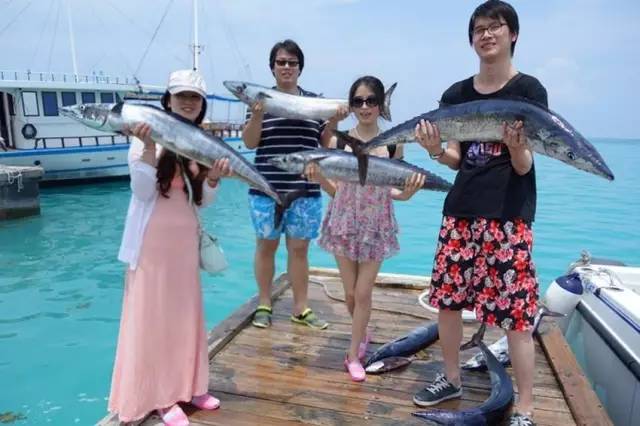 钓瘾：享受海钓，莫忘安全 