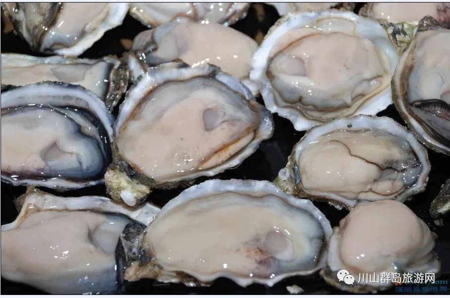 【美食】川山群岛邀你“蚝”气一番