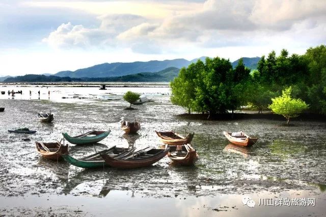 【视频】长在滩涂上的“果实”？