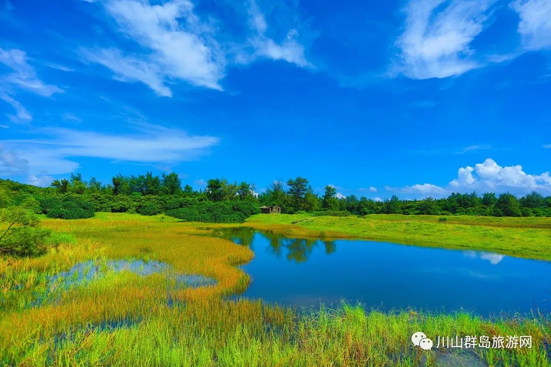 阳春三月，来川岛赴一场春日的邀约吧
