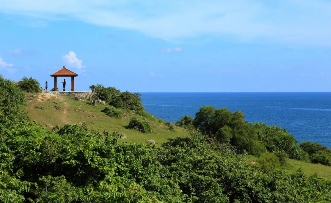 【春游】川岛，面朝大海，春暖花开