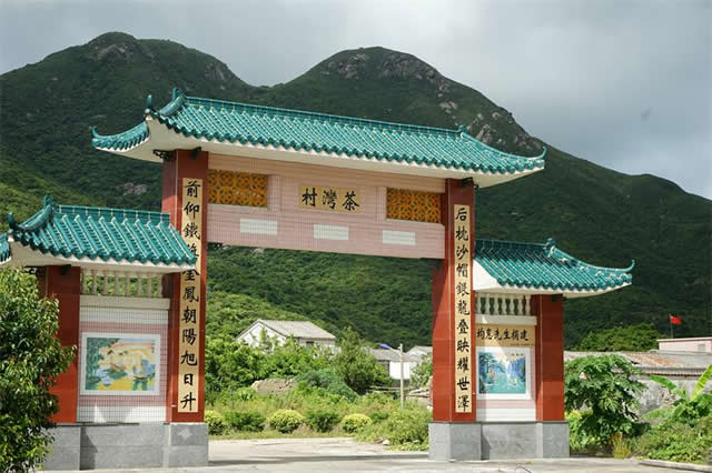 茶湾村▪竹柏林